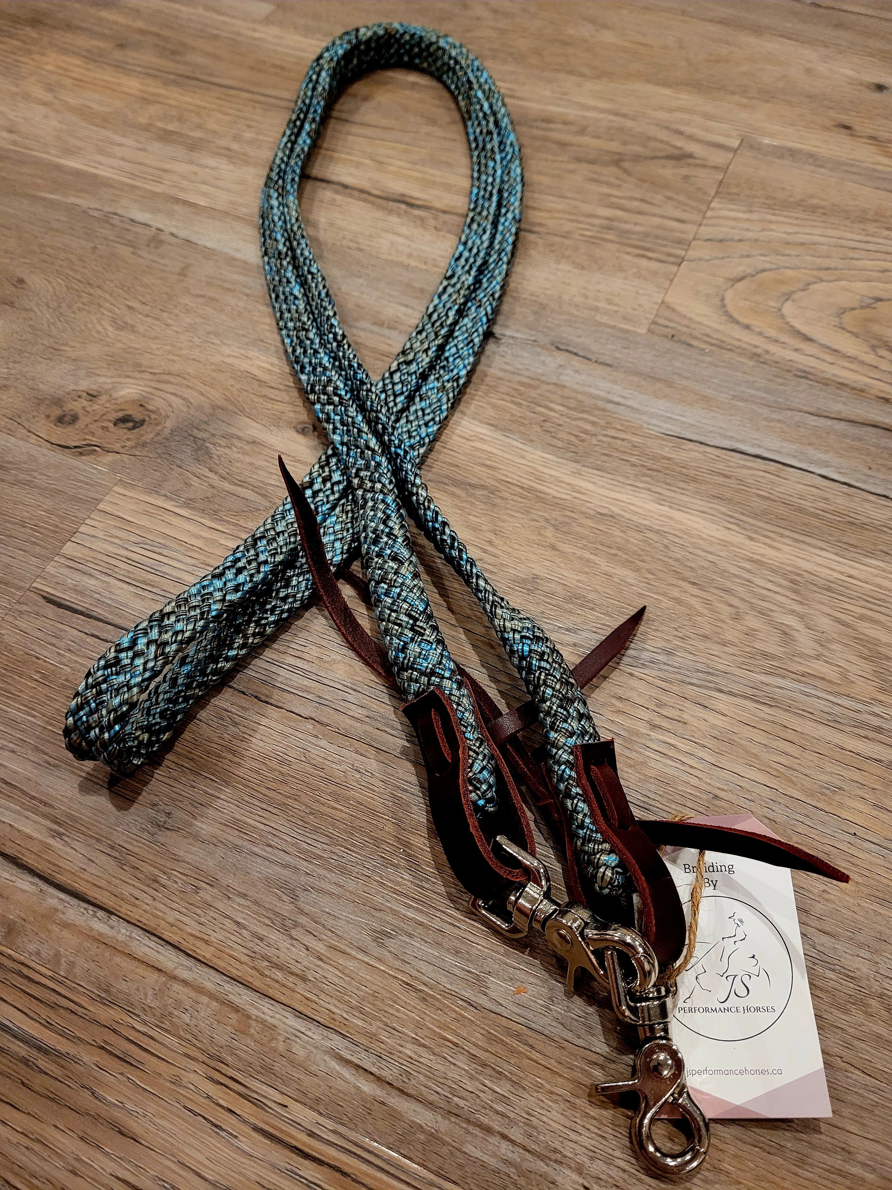 Reins